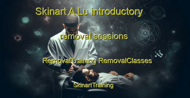 Skinart A Lu introductory removal sessions | #RemovalTraining #RemovalClasses #SkinartTraining-Vietnam