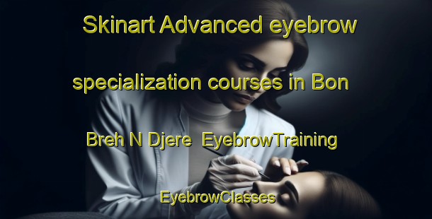 Skinart Advanced eyebrow specialization courses in Bon Breh N Djere | EyebrowTraining | EyebrowClasses | SkinartTraining-Vietnam