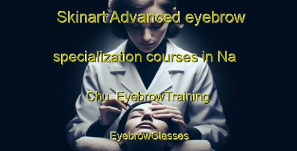 Skinart Advanced eyebrow specialization courses in Na Chu | EyebrowTraining | EyebrowClasses | SkinartTraining-Vietnam