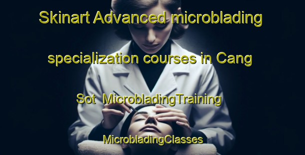 Skinart Advanced microblading specialization courses in Cang Sot | #MicrobladingTraining #MicrobladingClasses #SkinartTraining-Vietnam