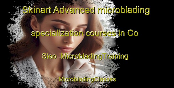 Skinart Advanced microblading specialization courses in Co Sieo | #MicrobladingTraining #MicrobladingClasses #SkinartTraining-Vietnam