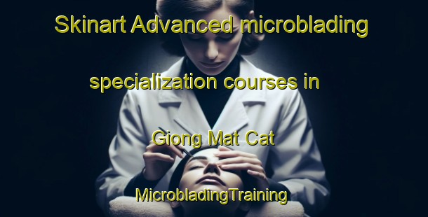 Skinart Advanced microblading specialization courses in Giong Mat Cat | #MicrobladingTraining #MicrobladingClasses #SkinartTraining-Vietnam