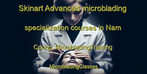 Skinart Advanced microblading specialization courses in Nam Coung | #MicrobladingTraining #MicrobladingClasses #SkinartTraining-Vietnam