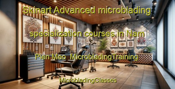 Skinart Advanced microblading specialization courses in Nam Pien Meo | #MicrobladingTraining #MicrobladingClasses #SkinartTraining-Vietnam