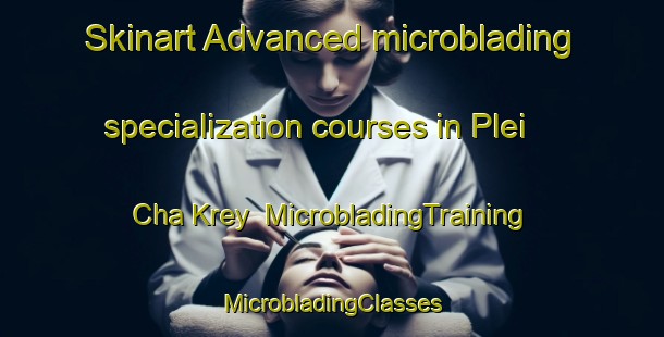 Skinart Advanced microblading specialization courses in Plei Cha Krey | #MicrobladingTraining #MicrobladingClasses #SkinartTraining-Vietnam