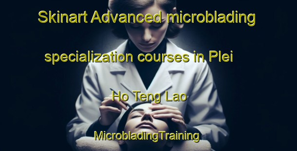 Skinart Advanced microblading specialization courses in Plei Ho Teng Lao | #MicrobladingTraining #MicrobladingClasses #SkinartTraining-Vietnam