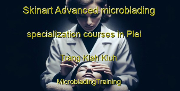 Skinart Advanced microblading specialization courses in Plei Trang Klah Kiuh | #MicrobladingTraining #MicrobladingClasses #SkinartTraining-Vietnam