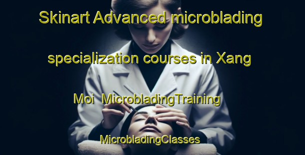 Skinart Advanced microblading specialization courses in Xang Moi | MicrobladingTraining | MicrobladingClasses | SkinartTraining-Vietnam