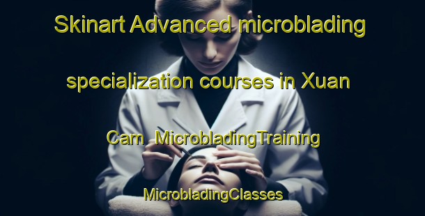 Skinart Advanced microblading specialization courses in Xuan Cam | #MicrobladingTraining #MicrobladingClasses #SkinartTraining-Vietnam