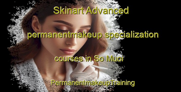 Skinart Advanced permanentmakeup specialization courses in So Muoi | PermanentmakeupTraining | PermanentmakeupClasses | SkinartTraining-Vietnam