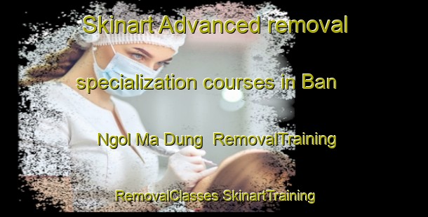 Skinart Advanced removal specialization courses in Ban Ngol Ma Dung | #RemovalTraining #RemovalClasses #SkinartTraining-Vietnam