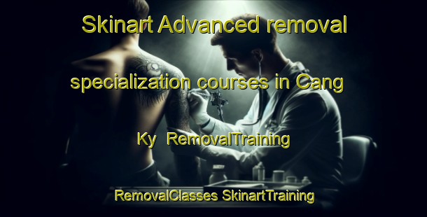 Skinart Advanced removal specialization courses in Cang Ky | #RemovalTraining #RemovalClasses #SkinartTraining-Vietnam