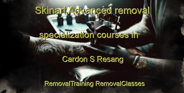 Skinart Advanced removal specialization courses in Cardon S Resang | #RemovalTraining #RemovalClasses #SkinartTraining-Vietnam