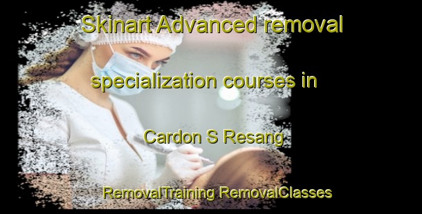 Skinart Advanced removal specialization courses in Cardon S Resang | #RemovalTraining #RemovalClasses #SkinartTraining-Vietnam