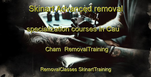 Skinart Advanced removal specialization courses in Cau Cham | #RemovalTraining #RemovalClasses #SkinartTraining-Vietnam