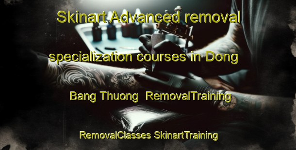 Skinart Advanced removal specialization courses in Dong Bang Thuong | #RemovalTraining #RemovalClasses #SkinartTraining-Vietnam