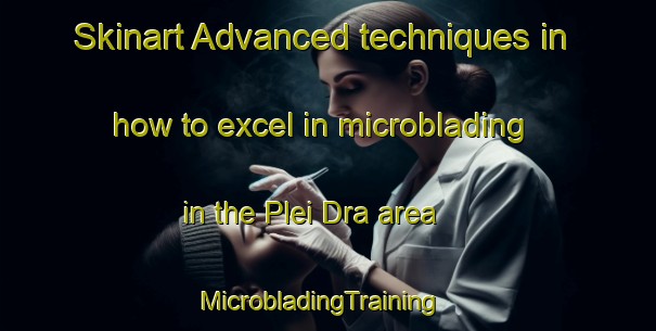 Skinart Advanced techniques in how to excel in microblading in the Plei Dra area | MicrobladingTraining | MicrobladingClasses | SkinartTraining-Vietnam