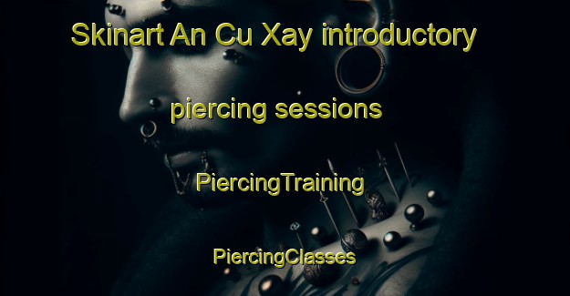 Skinart An Cu Xay introductory piercing sessions | #PiercingTraining #PiercingClasses #SkinartTraining-Vietnam