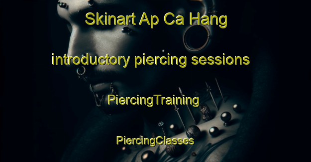 Skinart Ap Ca Hang introductory piercing sessions | #PiercingTraining #PiercingClasses #SkinartTraining-Vietnam