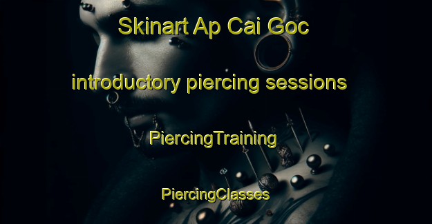 Skinart Ap Cai Goc introductory piercing sessions | #PiercingTraining #PiercingClasses #SkinartTraining-Vietnam