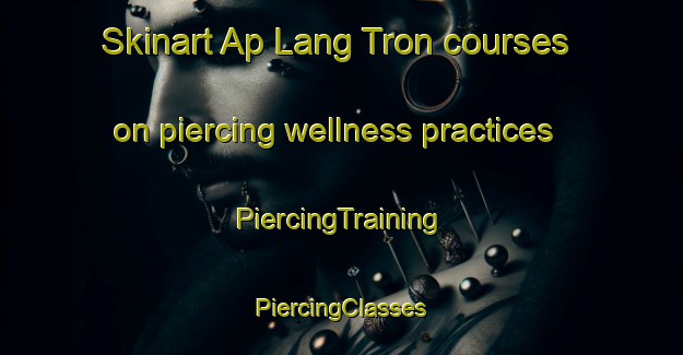 Skinart Ap Lang Tron courses on piercing wellness practices | #PiercingTraining #PiercingClasses #SkinartTraining-Vietnam