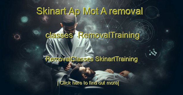 Skinart Ap Mot A removal classes | #RemovalTraining #RemovalClasses #SkinartTraining-Vietnam