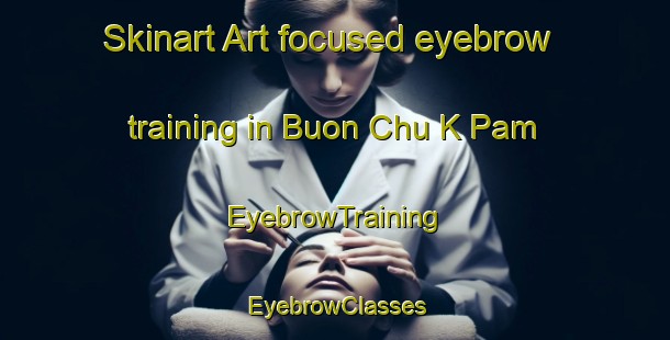 Skinart Art-focused eyebrow training in Buon Chu K Pam | EyebrowTraining | EyebrowClasses | SkinartTraining-Vietnam