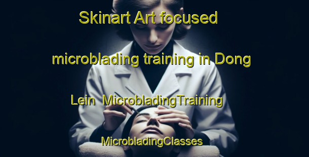 Skinart Art-focused microblading training in Dong Lein | MicrobladingTraining | MicrobladingClasses | SkinartTraining-Vietnam