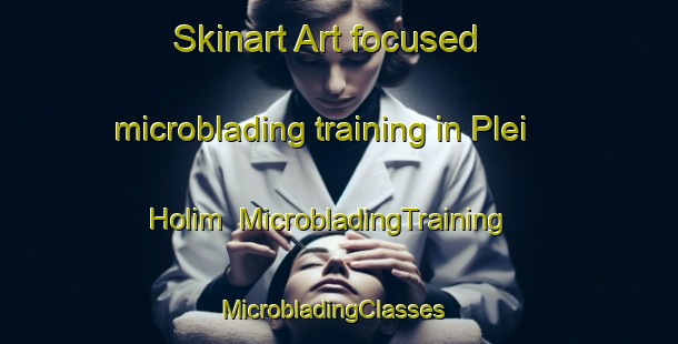 Skinart Art-focused microblading training in Plei Holim | MicrobladingTraining | MicrobladingClasses | SkinartTraining-Vietnam