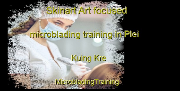 Skinart Art-focused microblading training in Plei Kuing Kre | MicrobladingTraining | MicrobladingClasses | SkinartTraining-Vietnam