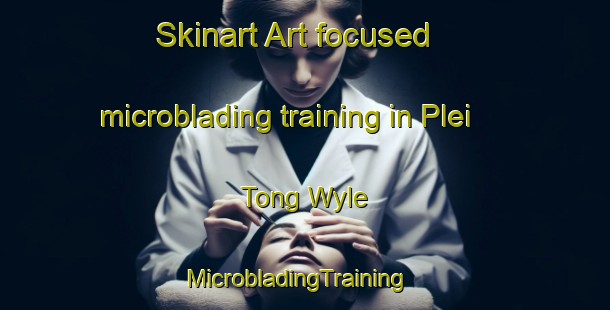 Skinart Art-focused microblading training in Plei Tong Wyle | MicrobladingTraining | MicrobladingClasses | SkinartTraining-Vietnam