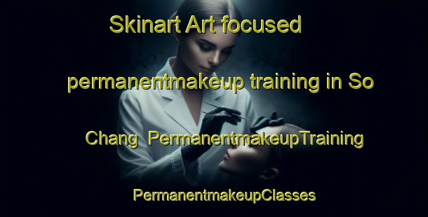 Skinart Art-focused permanentmakeup training in So Chang | #PermanentmakeupTraining #PermanentmakeupClasses #SkinartTraining-Vietnam