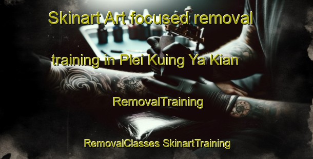 Skinart Art-focused removal training in Plei Kuing Ya Kian | #RemovalTraining #RemovalClasses #SkinartTraining-Vietnam