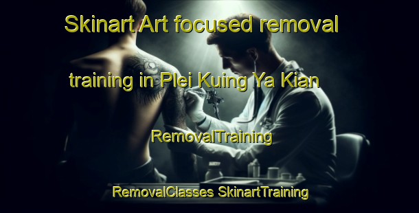 Skinart Art-focused removal training in Plei Kuing Ya Kian | #RemovalTraining #RemovalClasses #SkinartTraining-Vietnam