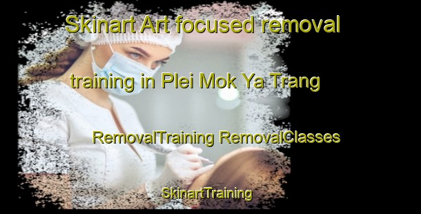 Skinart Art-focused removal training in Plei Mok Ya Trang | #RemovalTraining #RemovalClasses #SkinartTraining-Vietnam