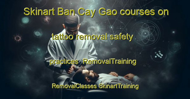 Skinart Ban Cay Gao courses on tattoo removal safety practices | #RemovalTraining #RemovalClasses #SkinartTraining-Vietnam