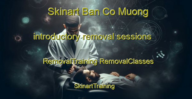 Skinart Ban Co Muong introductory removal sessions | #RemovalTraining #RemovalClasses #SkinartTraining-Vietnam