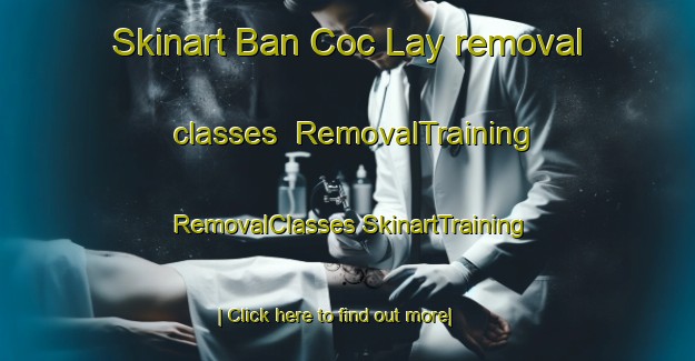 Skinart Ban Coc Lay removal classes | #RemovalTraining #RemovalClasses #SkinartTraining-Vietnam