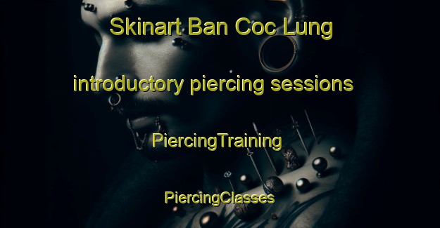 Skinart Ban Coc Lung introductory piercing sessions | #PiercingTraining #PiercingClasses #SkinartTraining-Vietnam