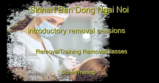 Skinart Ban Dong Ngai Noi introductory removal sessions | #RemovalTraining #RemovalClasses #SkinartTraining-Vietnam