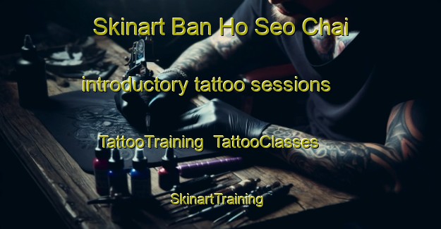 Skinart Ban Ho Seo Chai introductory tattoo sessions | TattooTraining | TattooClasses | SkinartTraining-Vietnam