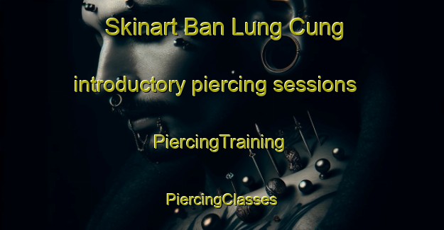 Skinart Ban Lung Cung introductory piercing sessions | #PiercingTraining #PiercingClasses #SkinartTraining-Vietnam