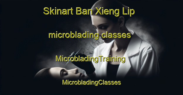 Skinart Ban Xieng Lip microblading classes | #MicrobladingTraining #MicrobladingClasses #SkinartTraining-Vietnam