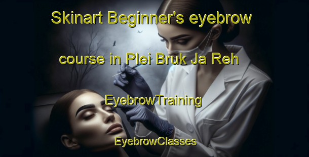 Skinart Beginner's eyebrow course in Plei Bruk Ja Reh | EyebrowTraining | EyebrowClasses | SkinartTraining-Vietnam