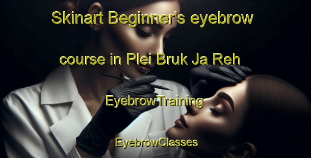 Skinart Beginner's eyebrow course in Plei Bruk Ja Reh | EyebrowTraining | EyebrowClasses | SkinartTraining-Vietnam