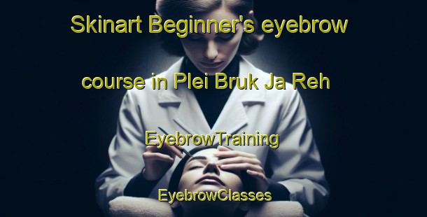 Skinart Beginner's eyebrow course in Plei Bruk Ja Reh | EyebrowTraining | EyebrowClasses | SkinartTraining-Vietnam