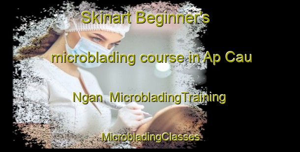 Skinart Beginner's microblading course in Ap Cau Ngan | #MicrobladingTraining #MicrobladingClasses #SkinartTraining-Vietnam