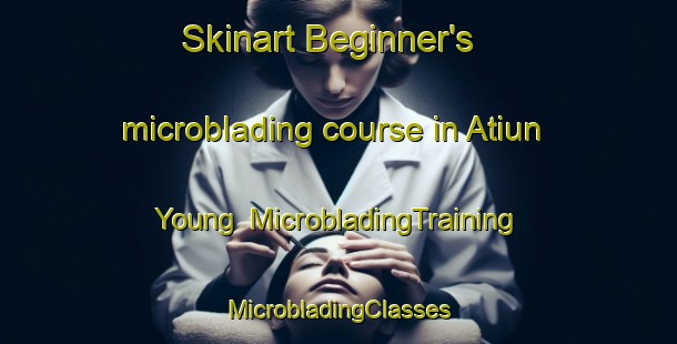 Skinart Beginner's microblading course in Atiun Young | #MicrobladingTraining #MicrobladingClasses #SkinartTraining-Vietnam