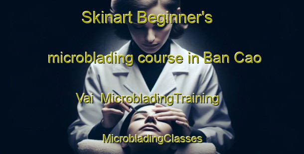 Skinart Beginner's microblading course in Ban Cao Vai | #MicrobladingTraining #MicrobladingClasses #SkinartTraining-Vietnam