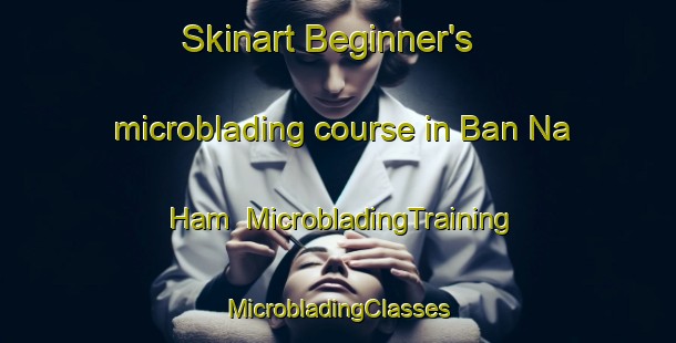 Skinart Beginner's microblading course in Ban Na Ham | #MicrobladingTraining #MicrobladingClasses #SkinartTraining-Vietnam